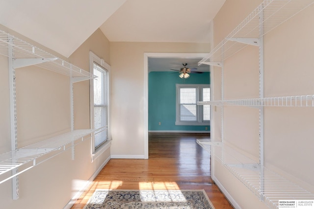 walk in closet with hardwood / wood-style flooring and ceiling fan