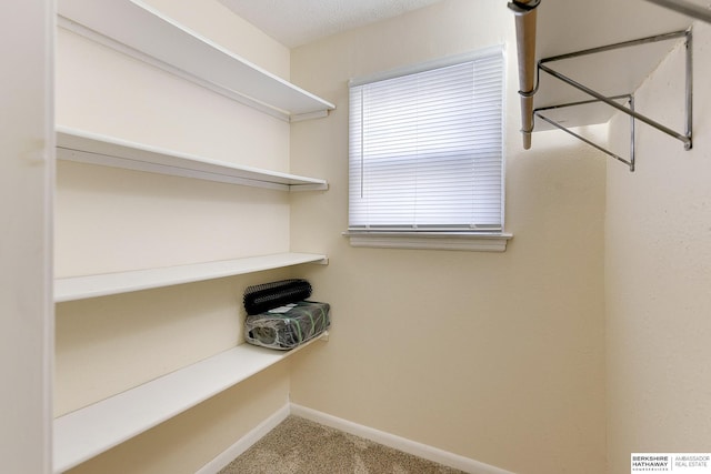 spacious closet with carpet