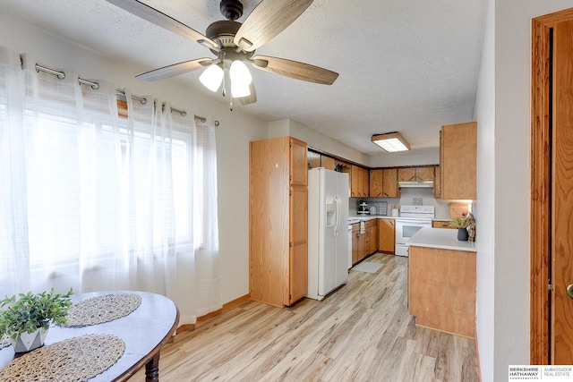 kitchen with ceiling fan, white appliances, a textured ceiling, and light hardwood / wood-style flooring