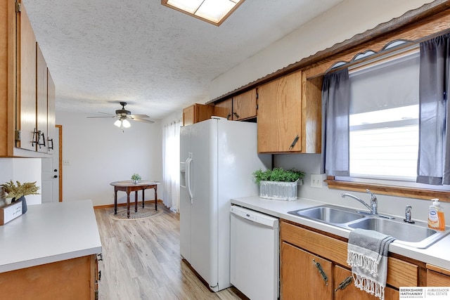 kitchen with ceiling fan, dishwasher, sink, light hardwood / wood-style floors, and a textured ceiling