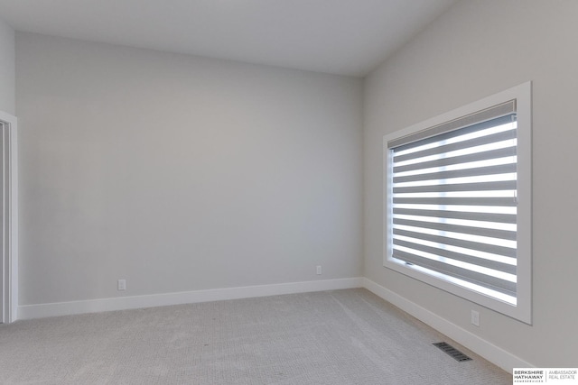 carpeted empty room featuring a wealth of natural light