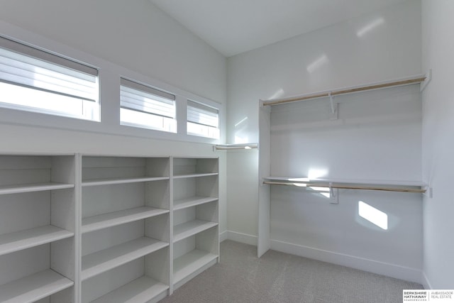 spacious closet with light colored carpet