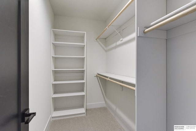 walk in closet featuring light carpet