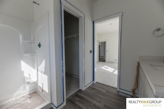 bathroom featuring vanity and wood-type flooring