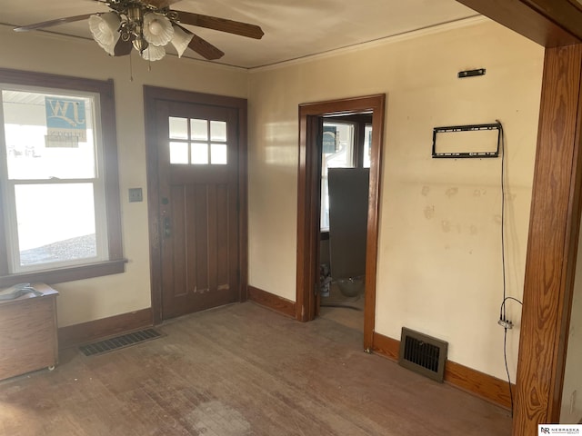 foyer with plenty of natural light and ceiling fan