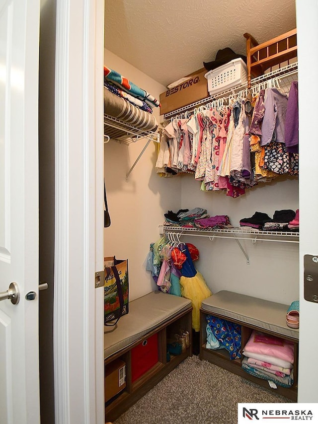 spacious closet with carpet floors