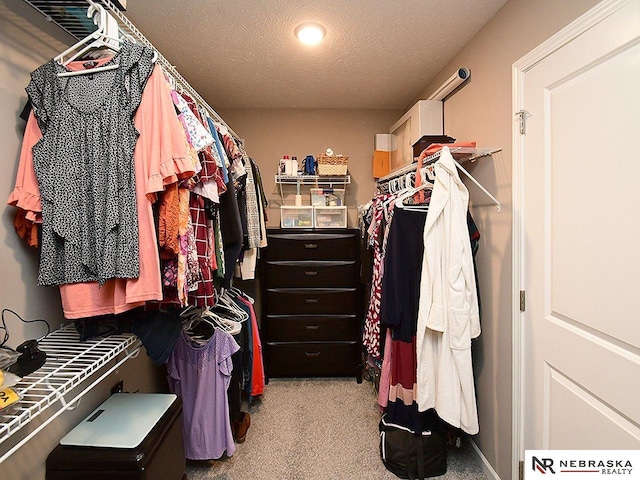 walk in closet with light colored carpet