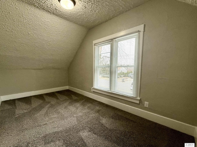 additional living space featuring carpet, a textured ceiling, and vaulted ceiling