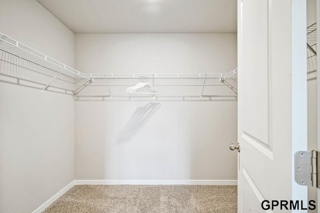 spacious closet featuring carpet floors