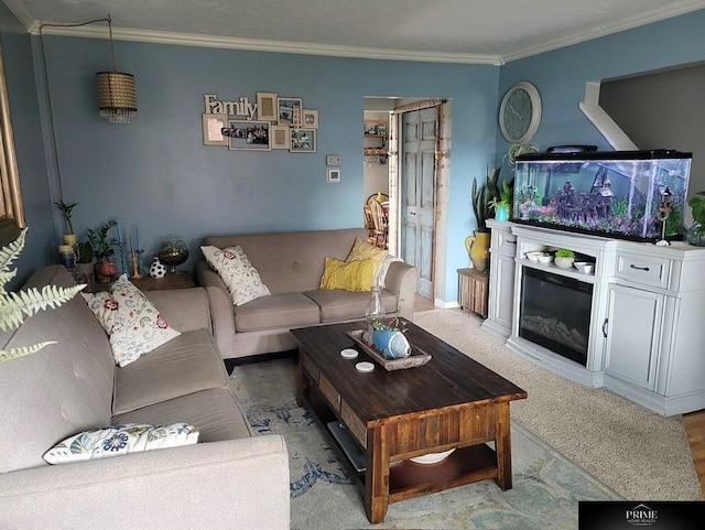 carpeted living room with ornamental molding