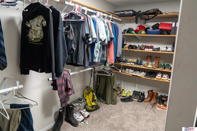 spacious closet with carpet