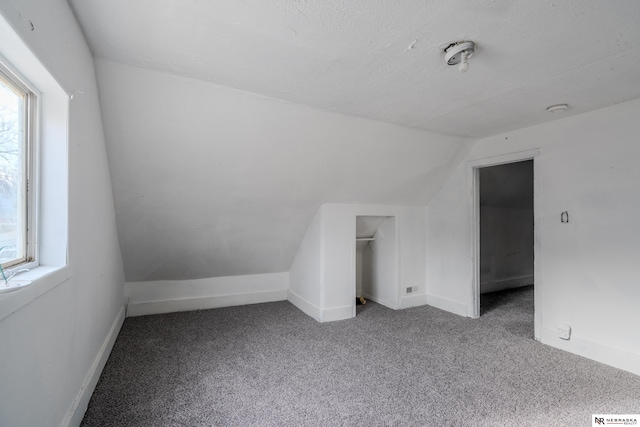 additional living space featuring carpet, vaulted ceiling, and a wealth of natural light