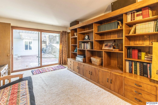 sitting room with carpet