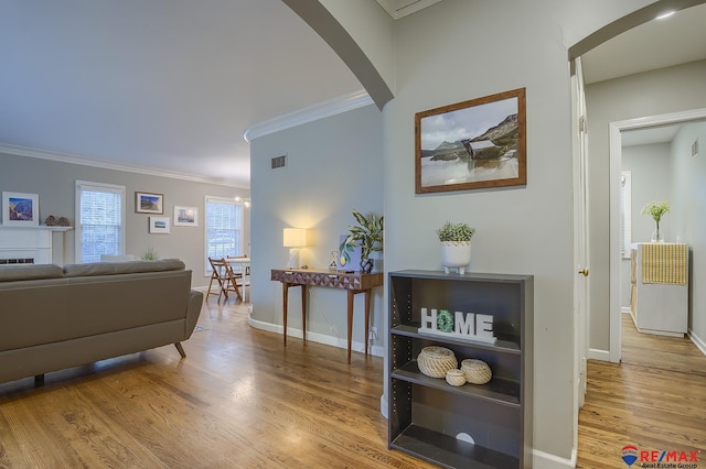 living room with light hardwood / wood-style floors and ornamental molding