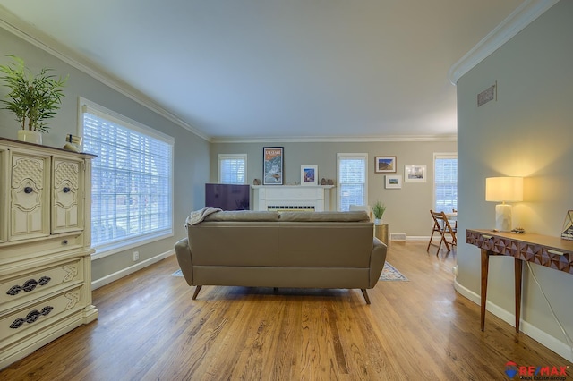 living room with crown molding and light wood-type flooring