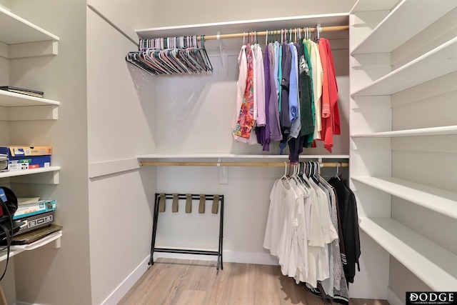 spacious closet featuring light wood-type flooring