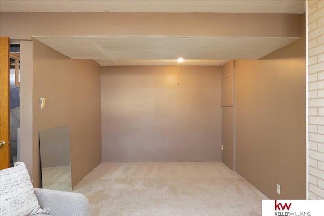 basement featuring carpet