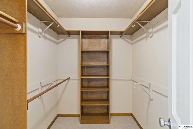 walk in closet with light colored carpet