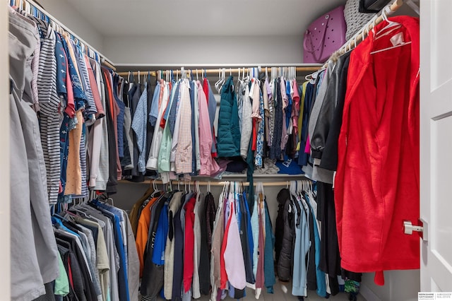 view of spacious closet