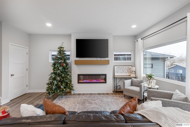 living room with a large fireplace and wood-type flooring