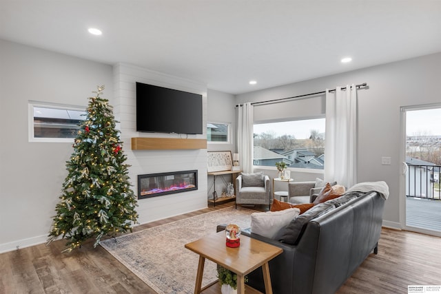 living room with a fireplace and wood-type flooring