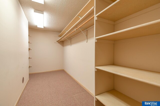 walk in closet featuring carpet