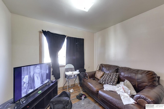 living room with hardwood / wood-style flooring