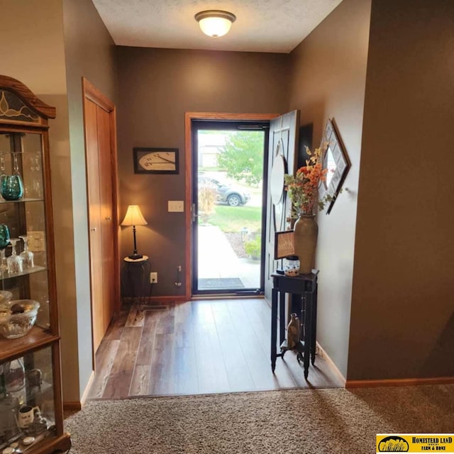 entryway with light hardwood / wood-style flooring