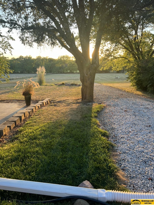 view of yard with a water view