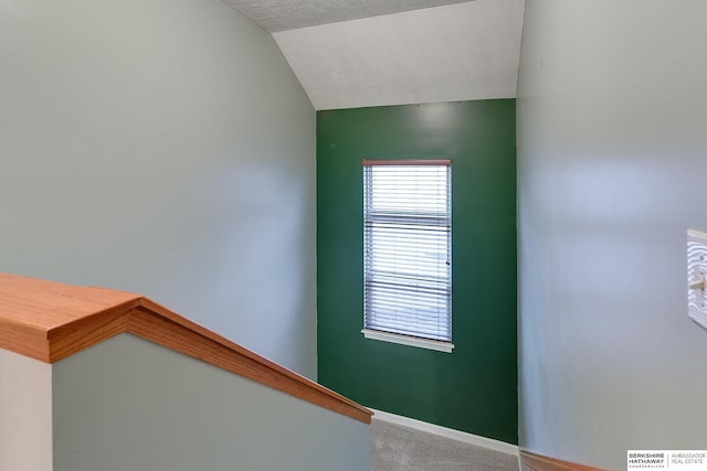 staircase with lofted ceiling and carpet flooring