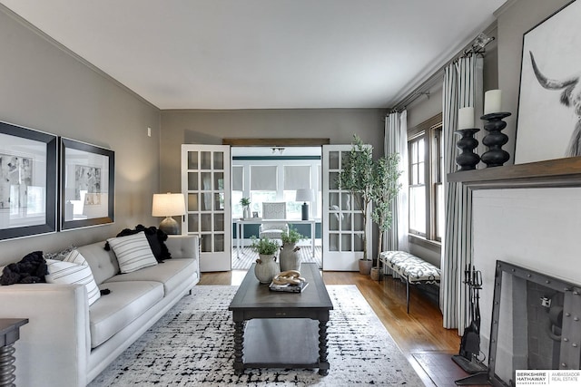 living room with wood-type flooring and french doors