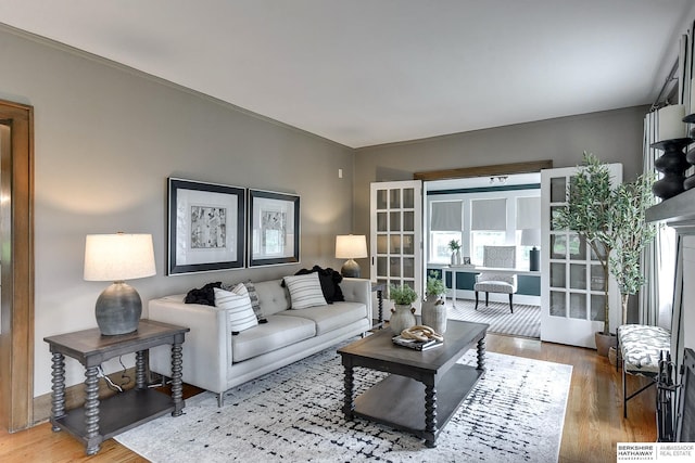 living room with wood-type flooring and french doors