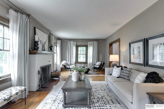 living room with hardwood / wood-style floors