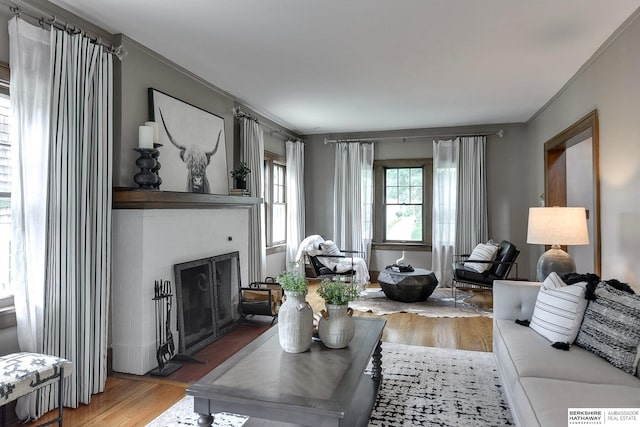 living room with crown molding and wood-type flooring