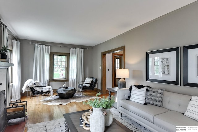 living room with dark wood-type flooring