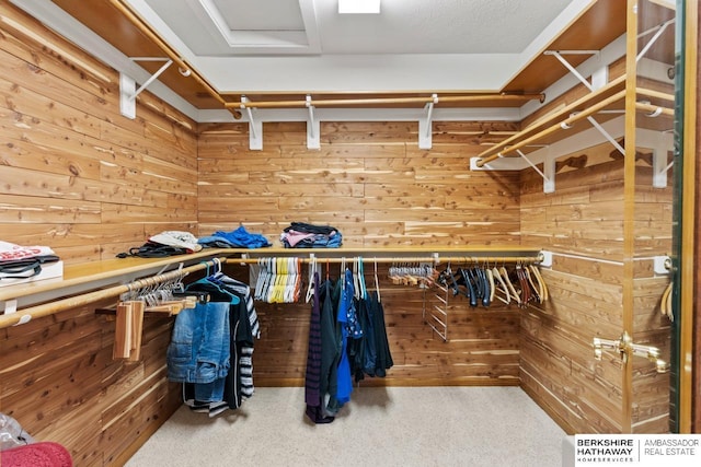 spacious closet featuring carpet flooring