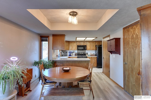 dining space featuring light hardwood / wood-style floors, a raised ceiling, and sink