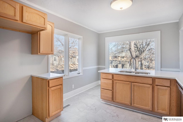 kitchen featuring crown molding and sink