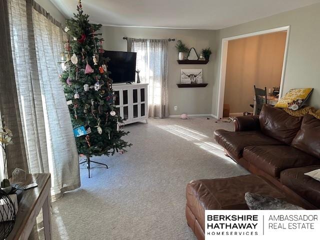 living room featuring carpet floors