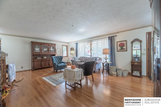 living room with wood-type flooring, a textured ceiling, and ornamental molding