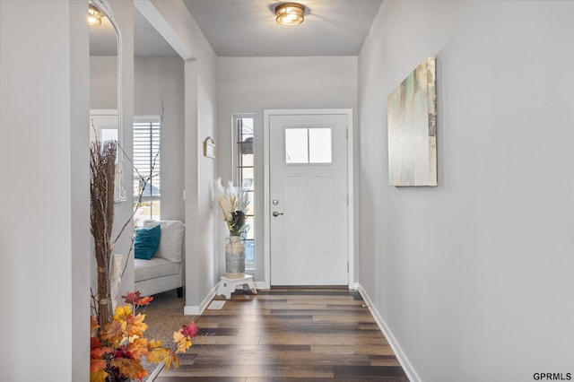 entryway featuring dark hardwood / wood-style flooring