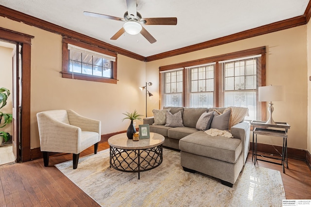 living room featuring ceiling fan, crown molding, and wood-type flooring