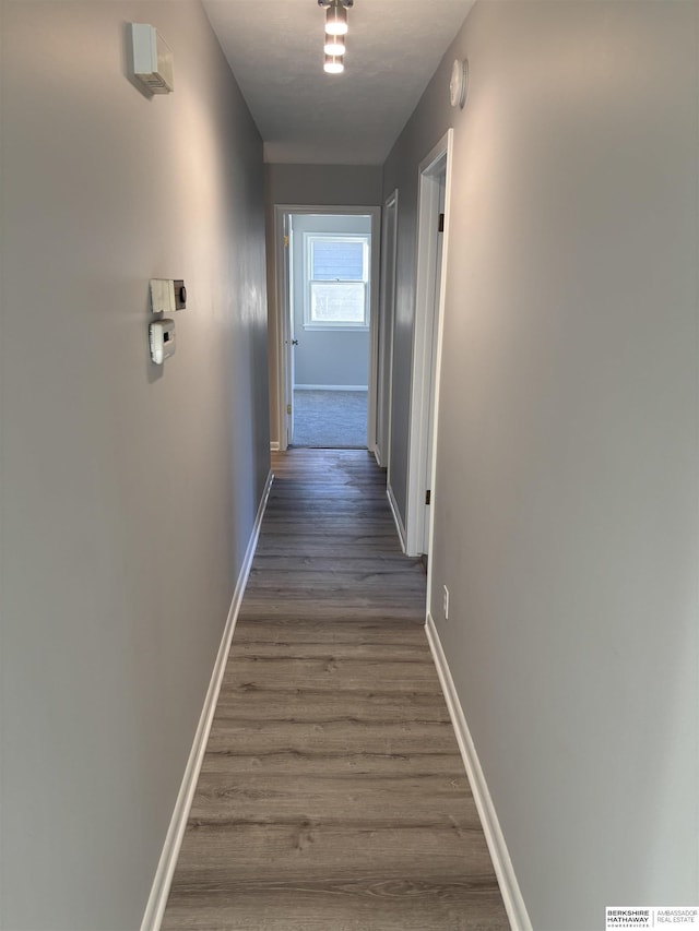 hallway featuring dark hardwood / wood-style flooring