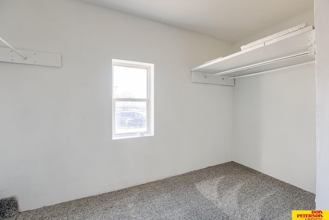 spacious closet with carpet flooring