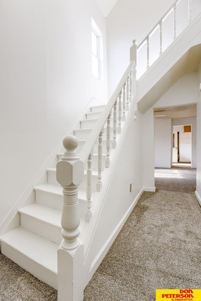 staircase featuring carpet floors