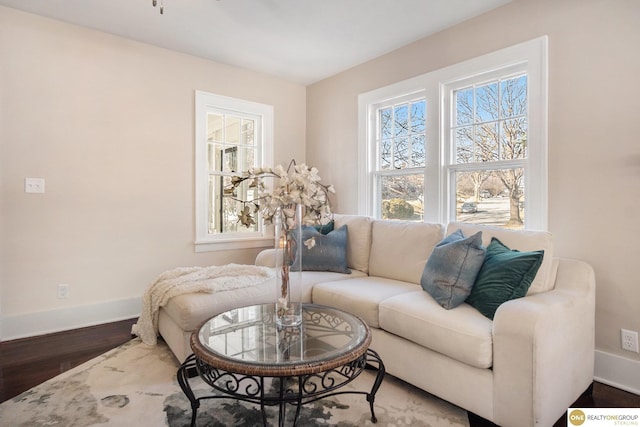 living room featuring hardwood / wood-style floors