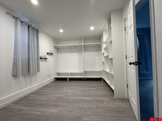 spacious closet with wood-type flooring