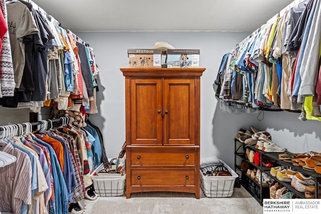 spacious closet featuring light carpet