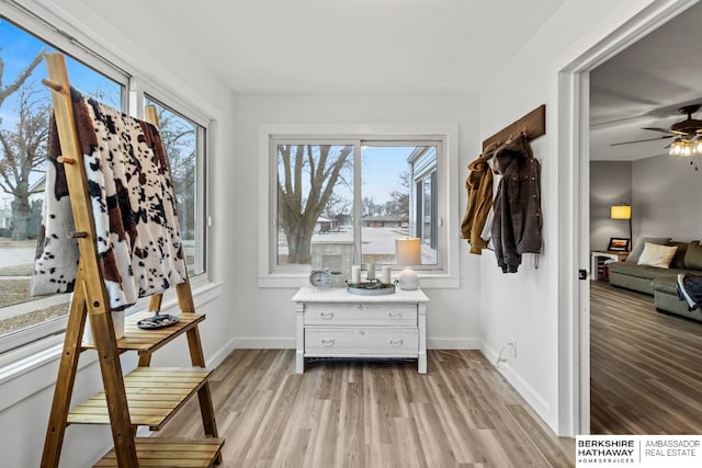 interior space featuring ceiling fan, light hardwood / wood-style floors, and a healthy amount of sunlight