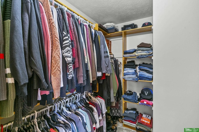 spacious closet with carpet flooring